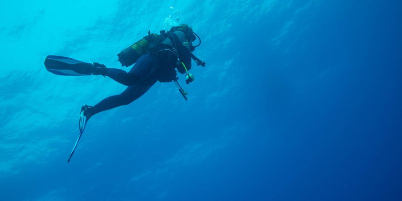 diver diving into the blue, fuerteventura canary islands